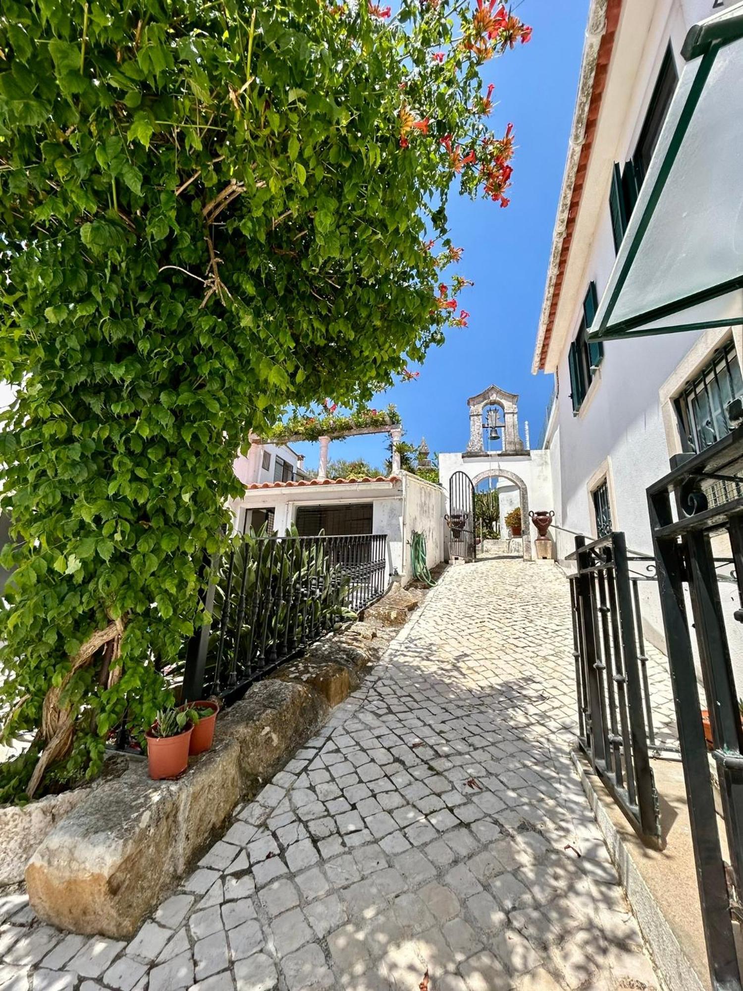 Traditional Portuguese Village House - Casa Martins No 52 Freiria Exteriér fotografie